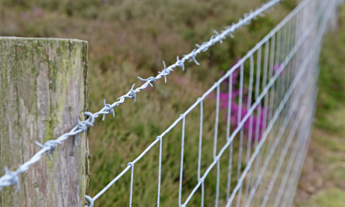 A close up of a barbed wire fence.